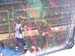 pc2005novegro