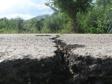 20090607_0261